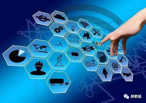 互联网政务服务“13合1” 为鹤城人打造安全便捷新体验