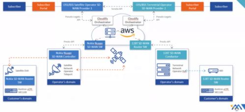 浅析基于卫星通信的软件定义网络 网络与信息安全软件开发的新范式